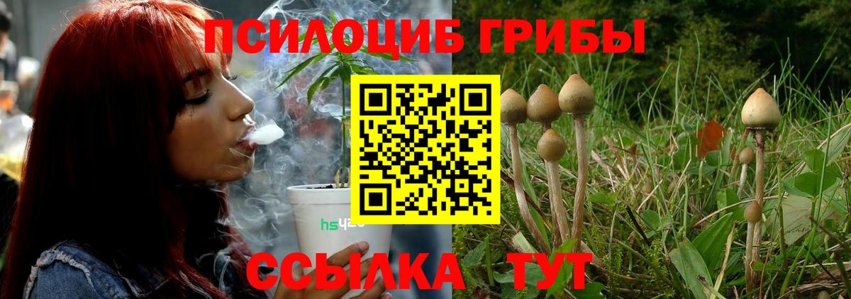 Галлюциногенные грибы мицелий  Вход с VPN  Псилоцибиновые грибы Psilocybine cubensis  Норильск 