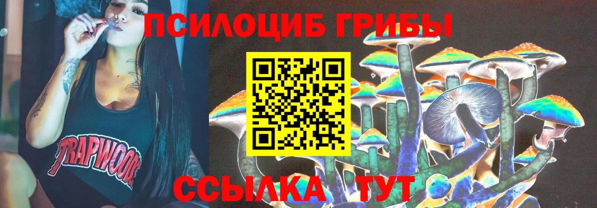 Псилоцибиновые грибы мицелий Норильск